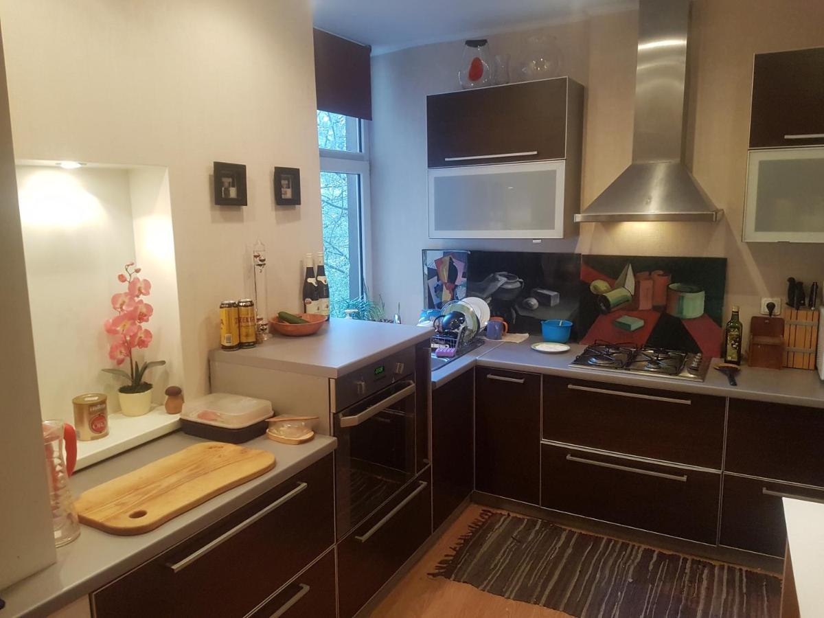Cozy Apartment In Good Location! ريغا المظهر الخارجي الصورة